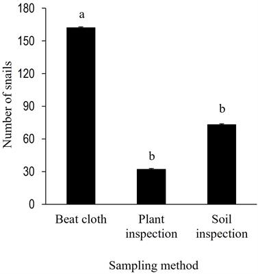 Ecology and management of the invasive land snail Bulimulus bonariensis (Rafinesque, 1833) (Stylommatophora: Bulimulidae) in row crops